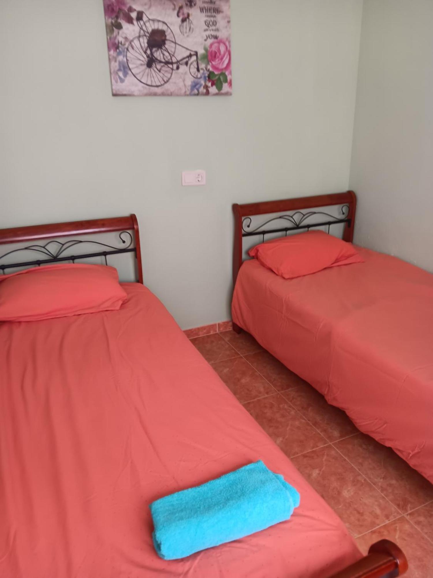 Arenales Beach Apartament Apartment อาลิกันเต ภายนอก รูปภาพ